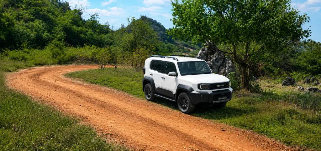 webp (11)